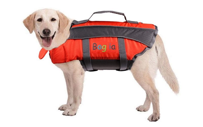 chaleco de kayak de perro