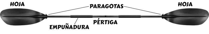 partes de la pala de kayak