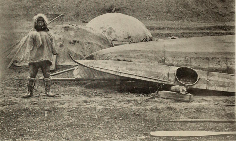 kayakista inuit y su kayak